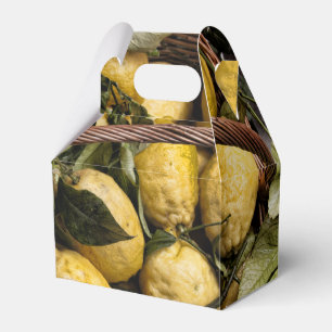 Amalfi Lemon Basket Favour Box