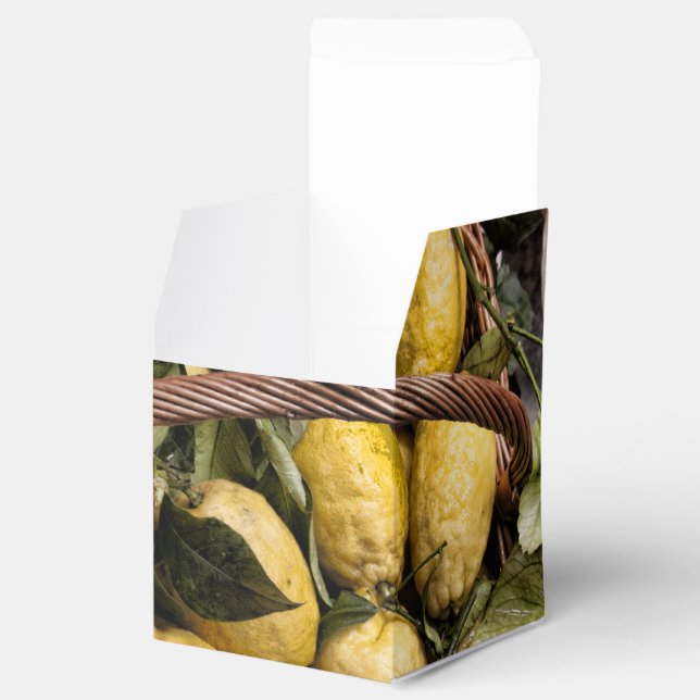 Amalfi Lemon Basket Favour Box (Opened)