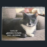 Amanda Flower Cat Calendar 2025<br><div class="desc">A delightful calendar of USA Today Bestselling Author Amanda Flower's cat. Photographs by Amanda's husband,  David M. Seymour. The sale of the calendars supports Amanda and David's cat rescue efforts. They currently care for eighteen cats between their home and farm.</div>