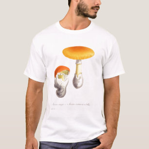 Amanita Caesaria from 'Phytographie Medicale' by J T-Shirt
