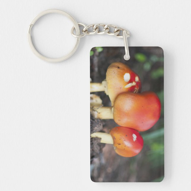 Amanita family mushroom key ring (Front)
