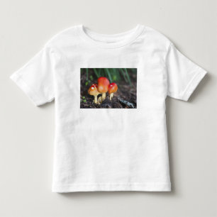 Amanita family mushroom toddler T-Shirt