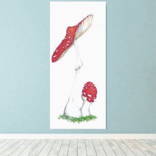 Amanita muscaria canvas print