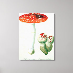 Amanita Muscaria from 'Phytographie Medicale' by J Canvas Print