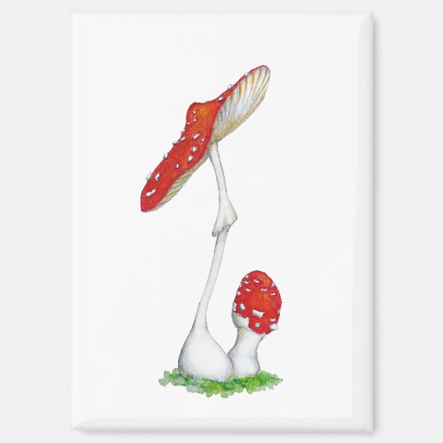 Amanita muscaria magnet (Front)