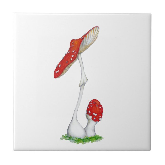 Amanita muscaria tile (Front)