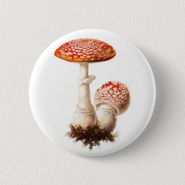Amanita Mushroom Button (Front)