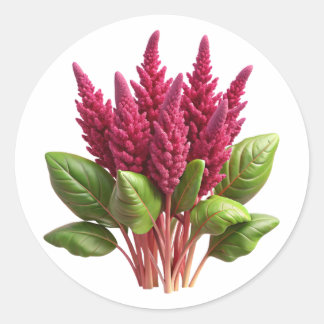 Amaranth Plastic 3D – Glossy Round Label