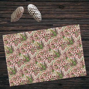 Amaryllis Abundance Red and White Festive Holiday Tissue Paper