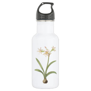 amaryllis(Amaryllis vittata) by Redouté 532 Ml Water Bottle