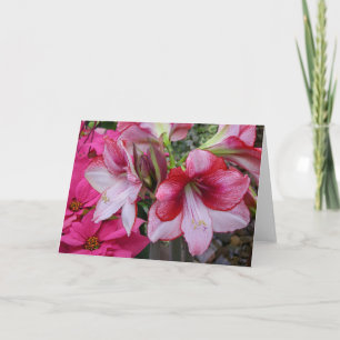 Amaryllis and Poinsettia Red Holiday Flowers Card