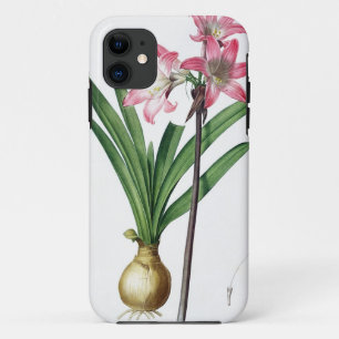 Amaryllis Belladonna, from 'Les Liliacees', engrav iPhone 11 Case