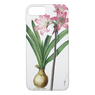 Amaryllis Belladonna, from 'Les Liliacees', engrav Case-Mate iPhone Case