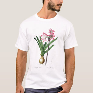 Amaryllis Belladonna, from 'Les Liliacees', engrav T-Shirt