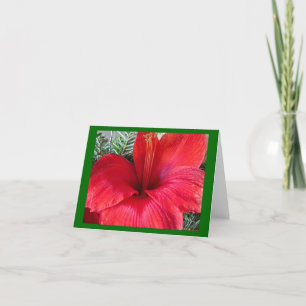 Amaryllis Blossom Holiday Card
