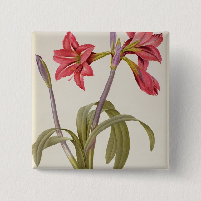 Amaryllis Brasiliensis 15 Cm Square Badge (Front)