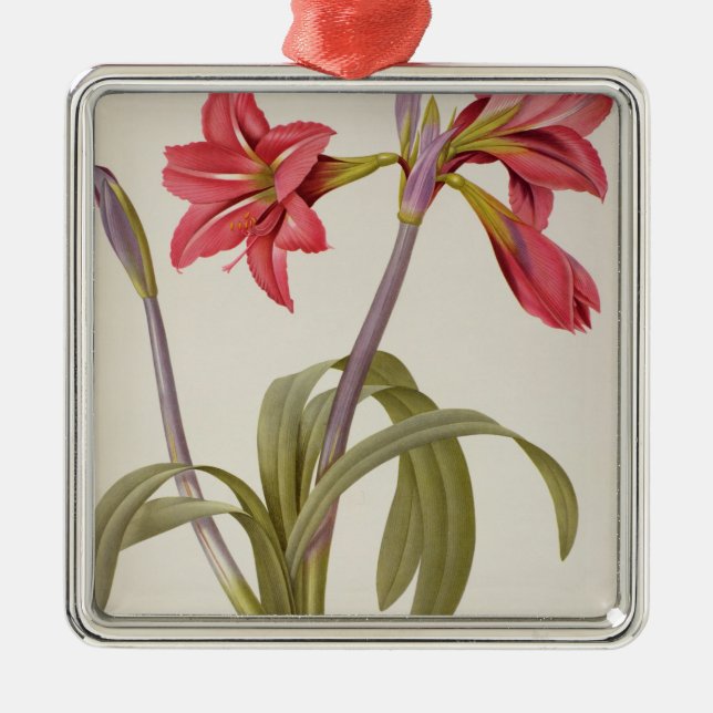 Amaryllis Brasiliensis Metal Tree Decoration (Front)
