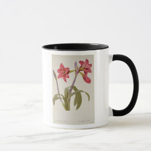 Amaryllis Brasiliensis Mug