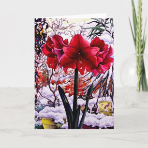 Amaryllis by Snow Window Holiday Card