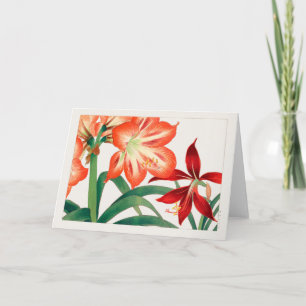 Amaryllis by Tanigami Konan Card