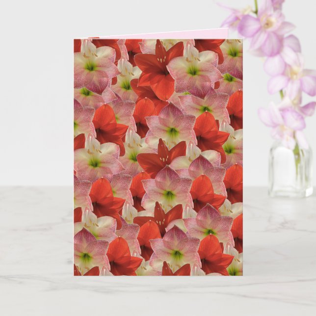 Amaryllis Floral Birthday Card  (Orchid)