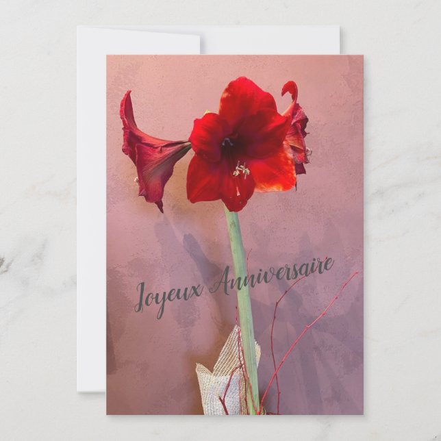 Amaryllis Flower (Front)