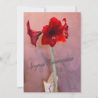 Amaryllis Flower