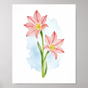 Amaryllis Flower Watercolor Poster