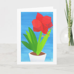 Amaryllis Greetings Holiday Card