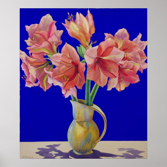 Amaryllis in a jug 2007 poster (Front)