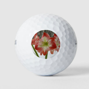 Amaryllis in Snow Red Holiday Winter Floral Golf Balls