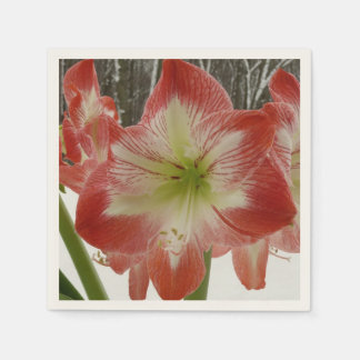 Amaryllis in Snow Red Holiday Winter Floral Napkin