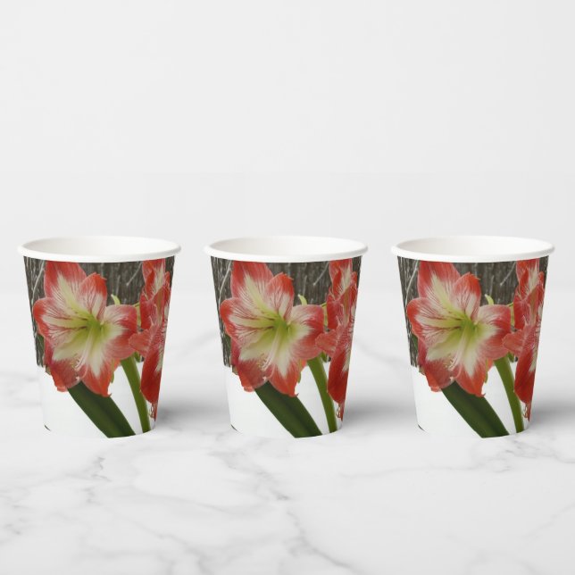 Amaryllis in Snow Red Holiday Winter Floral Paper Cups (Multi)