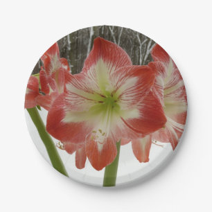 Amaryllis in Snow Red Holiday Winter Floral Paper Plate