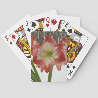 Amaryllis in Snow Red Holiday Winter Floral Playing Cards