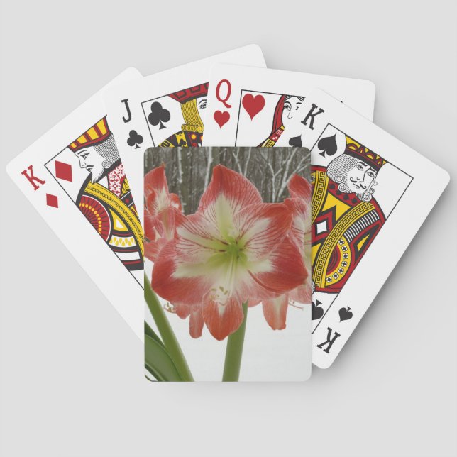 Amaryllis in Snow Red Holiday Winter Floral Playing Cards (Back)