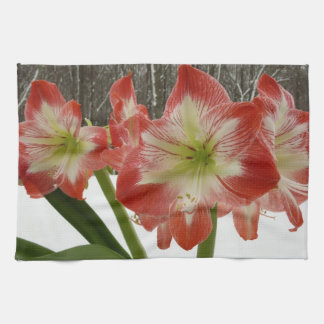 Amaryllis in Snow Red Holiday Winter Floral Tea Towel
