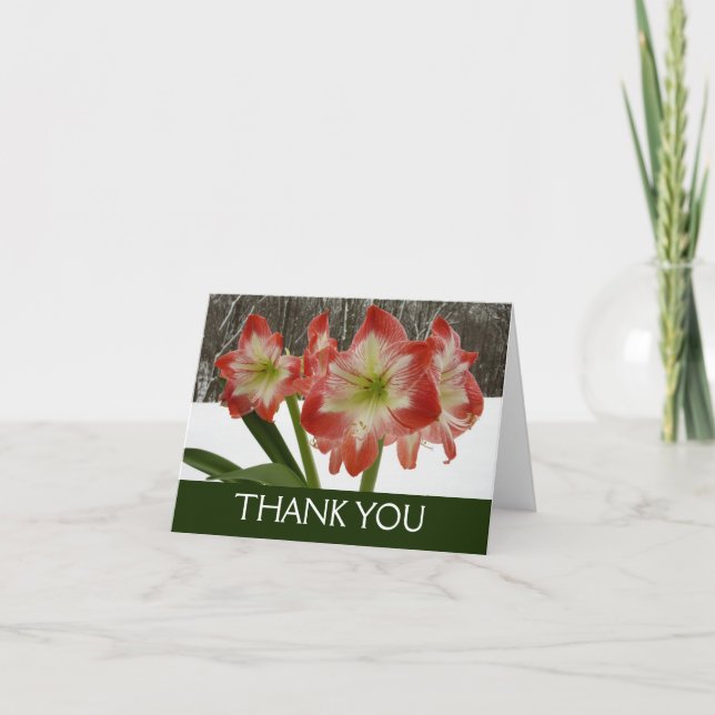 Amaryllis in Snow Red Holiday Winter Floral Thank You Card (Front)