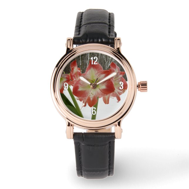Amaryllis in Snow Red Holiday Winter Floral Watch (Front)
