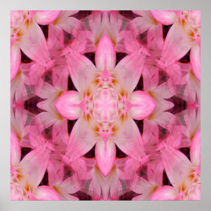 Amaryllis Love... Poster