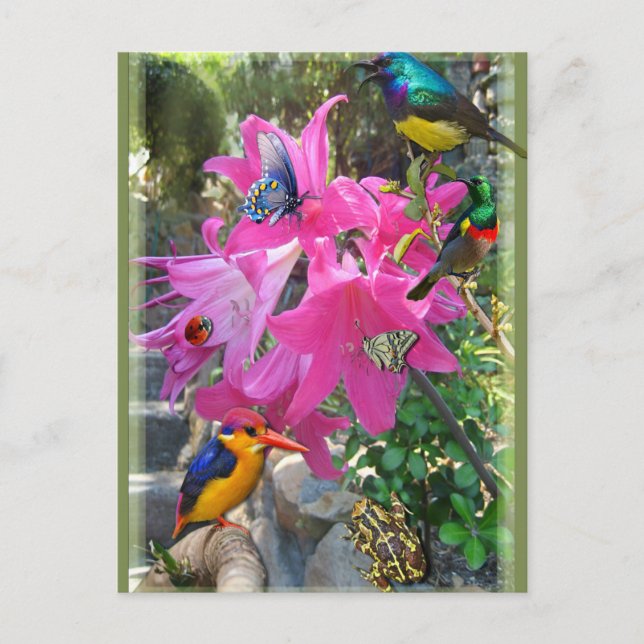 Amaryllis Party Invitation Postcard (Front)