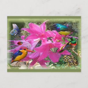 Amaryllis Party Invitation Postcard