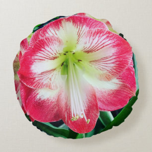 Amaryllis pink white colour gentle flower branch round cushion