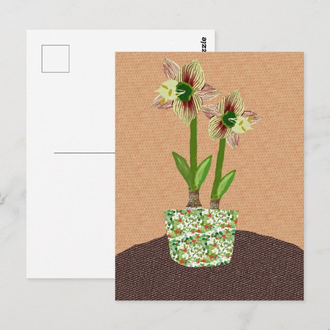 Amaryllis  Postcard (Front/Back)