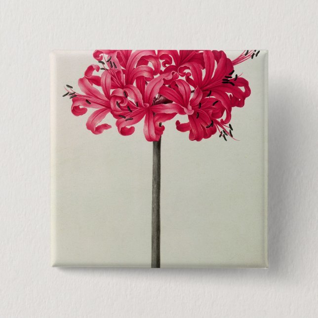 Amaryllis Sarniensis, or Narcissus 15 Cm Square Badge (Front)