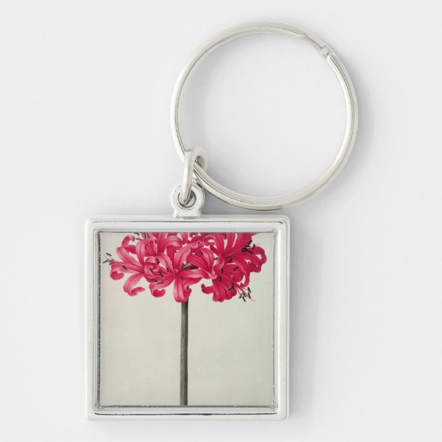 Amaryllis Sarniensis, or Narcissus Key Ring (Front)