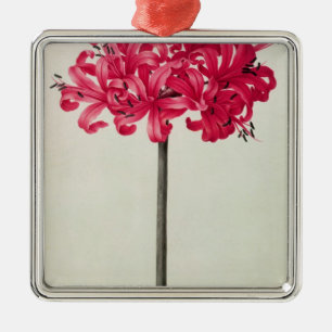 Amaryllis Sarniensis, or Narcissus Metal Tree Decoration