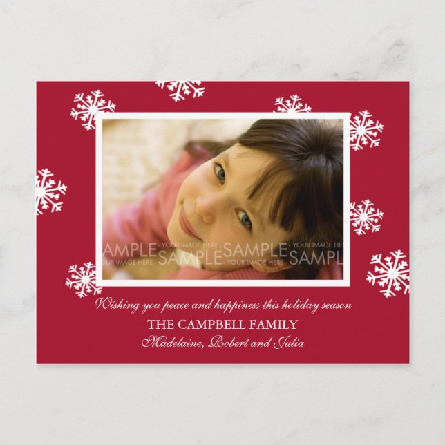 Amaryllis Snowflakes :: Christmas Photo Postcard (Front)