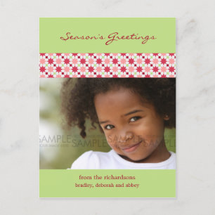 Amaryllis Stars :: Christmas Photo Postcard