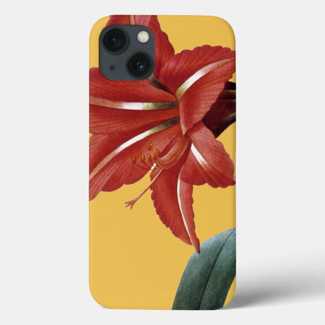 Amaryllis Striped Case-Mate iPhone Case (Back)